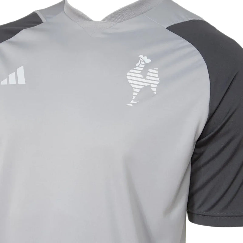 Camisa Atlético Mineiro Treino 24/25 - Cinza